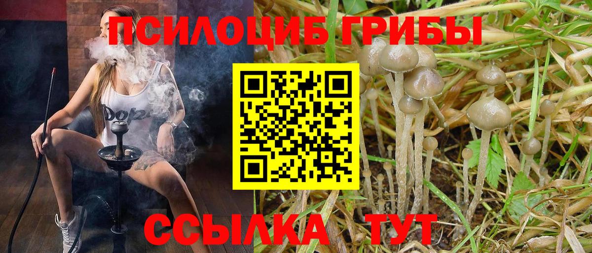 Кстово  Галлюциногенные грибы прущие грибы  Галлюциногенные грибы MAGIC MUSHROOMS  Вход с VPN 